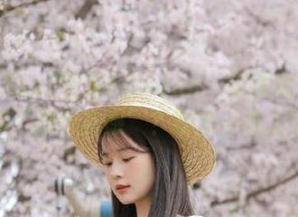 登录166.fun：想知道名人到底如何“刷存在感”？跟我一起上车吧！