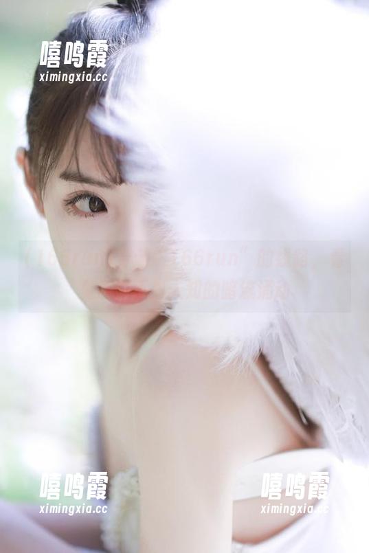 166run 穿越“166run”的线路,看见那些不为人知的暗流涌动