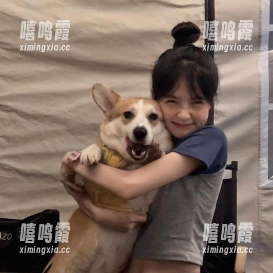 51爆料网 打开51爆料网,导航至欢乐的黑暗角落,做好心里准备哦!