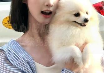 吃瓜91中心今天新鲜出炉的最新瓜，快来免费补充你的八卦能量！