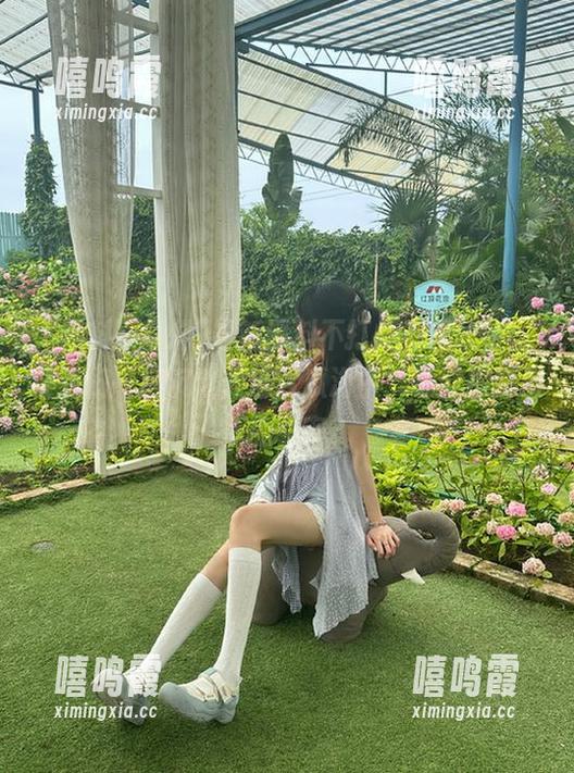 黑料不打烊 最新黑料不打烊万里长征,让我们一起沉迷在这片瓜海中,谁能探到最深的秘密?