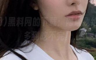 黑料网的下载：网址我给你，瓜多到吃不完！