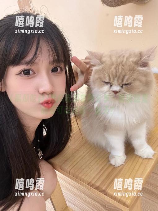 黑瓜吃料 黑瓜吃料官网分享:听说这里的瓜可以讨论一整天?